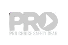 Pro Choice Logo